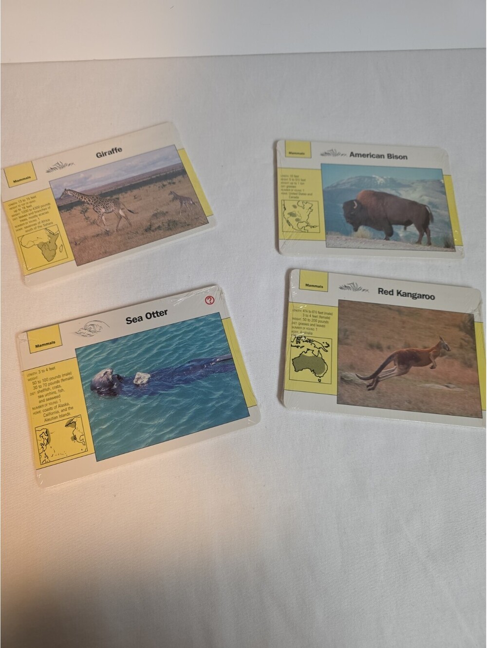 VTG Wildlife Adventure Cards Lot Grolier Educational Animal Fact File Set